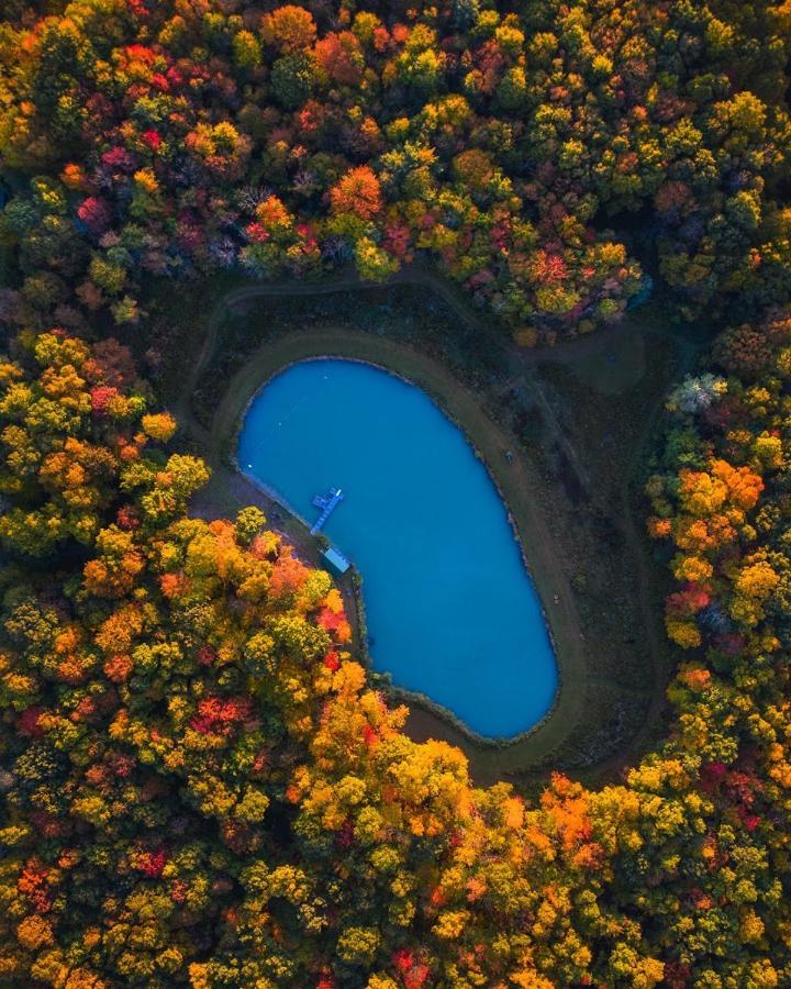 Готель Letchworth Farm Nunda Екстер'єр фото