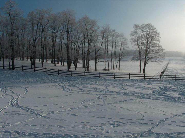 Готель Letchworth Farm Nunda Екстер'єр фото